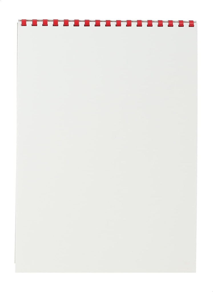 Canson Drawing Sketch Paper, 12 Sheets, White, Quarter Sheet