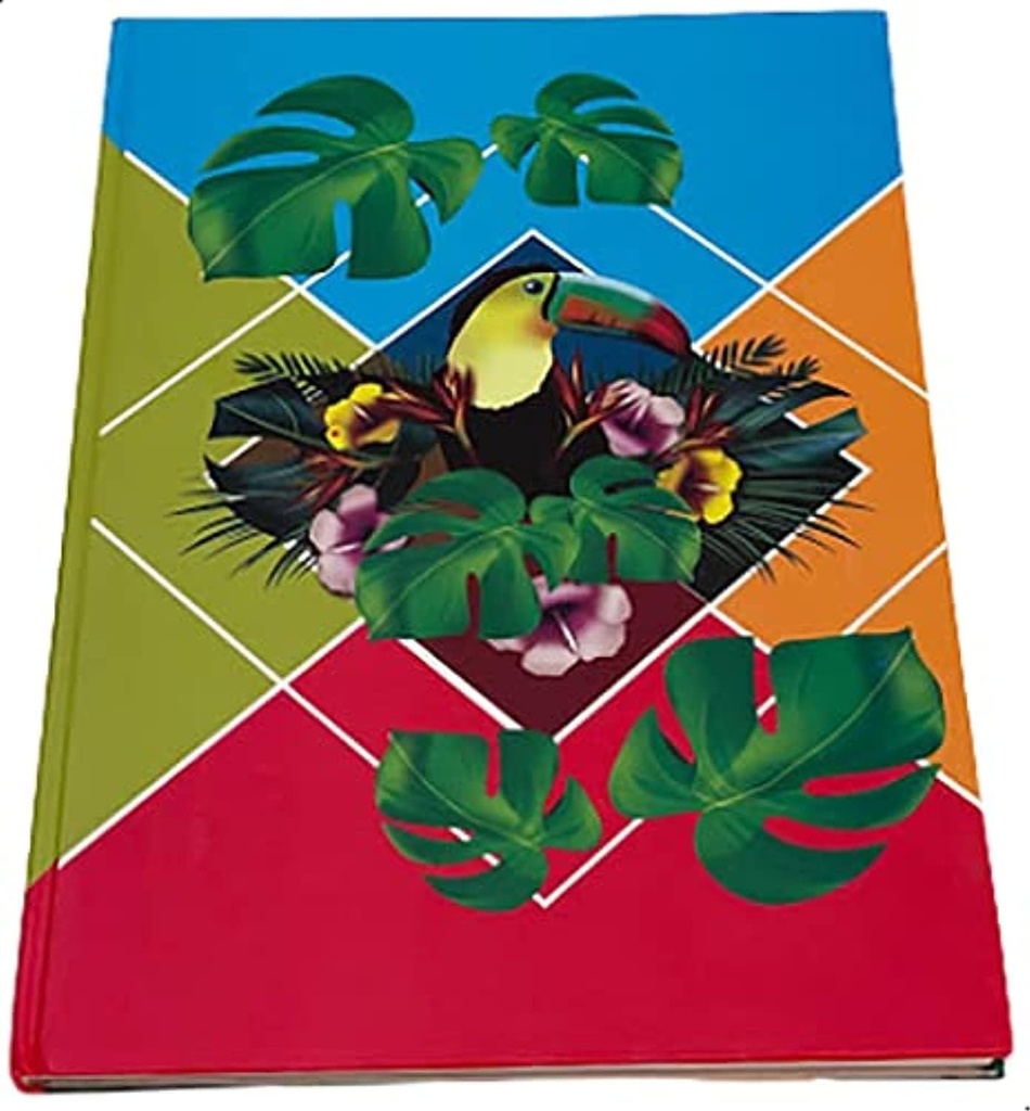 Hard Cover Sketchbook, 96 Sheets, 20x28 cm